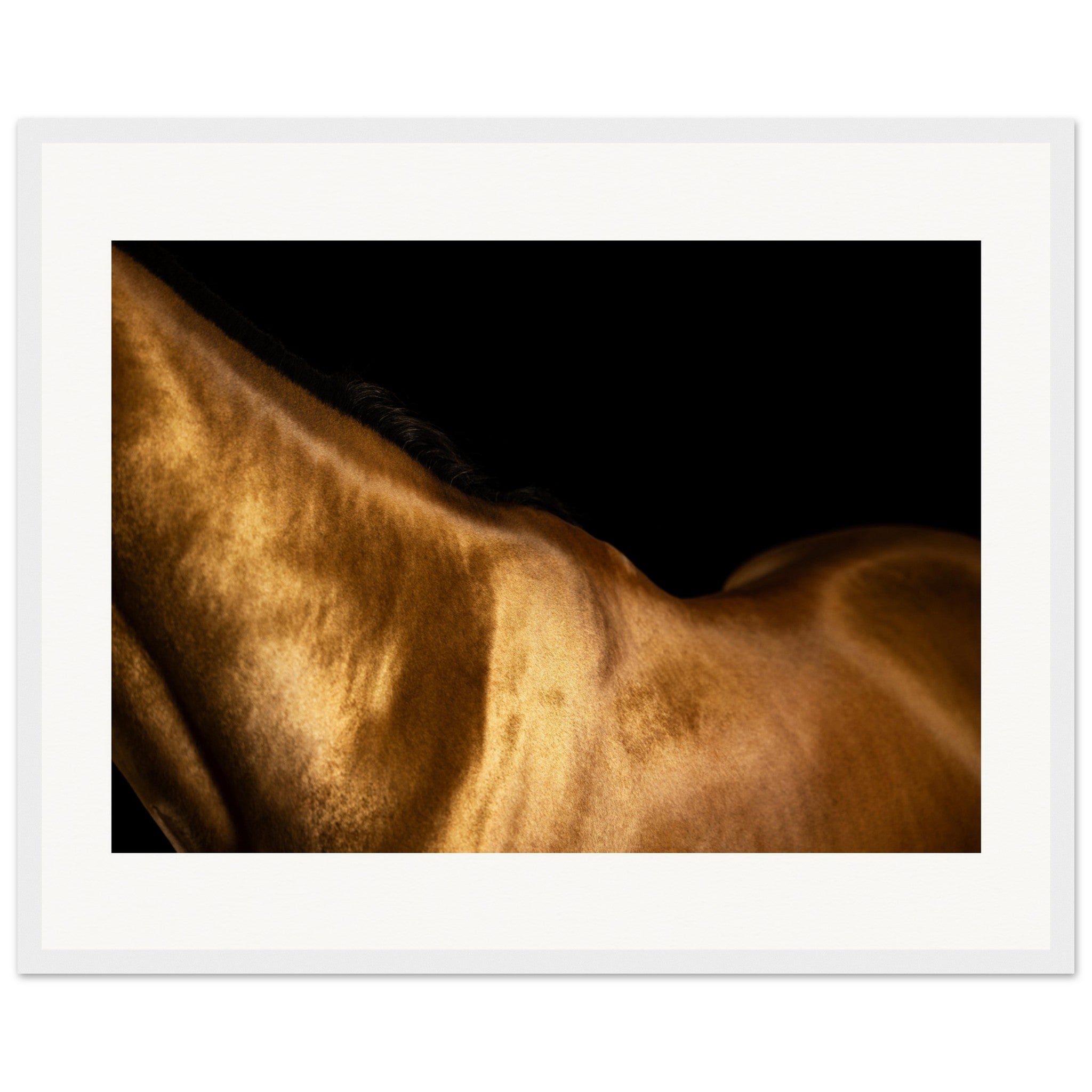 1f143e1d-9156-4763-90ef-5ff97c1044b8