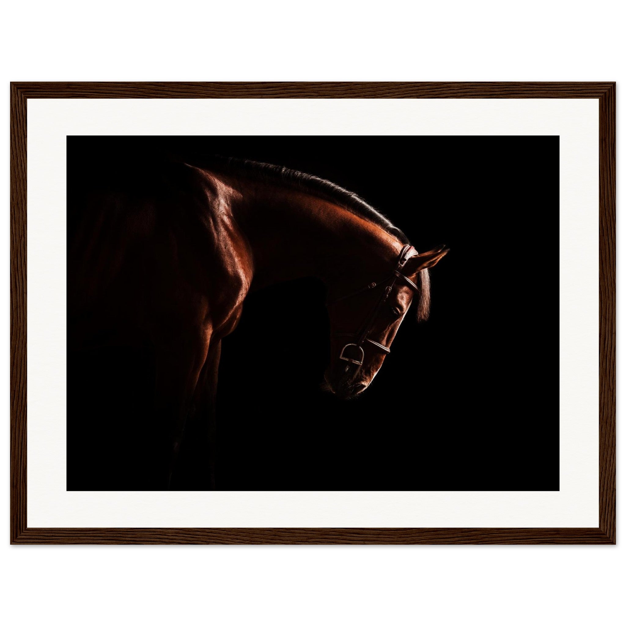 1f47d2fd-9c28-4370-9c82-65415abd3062