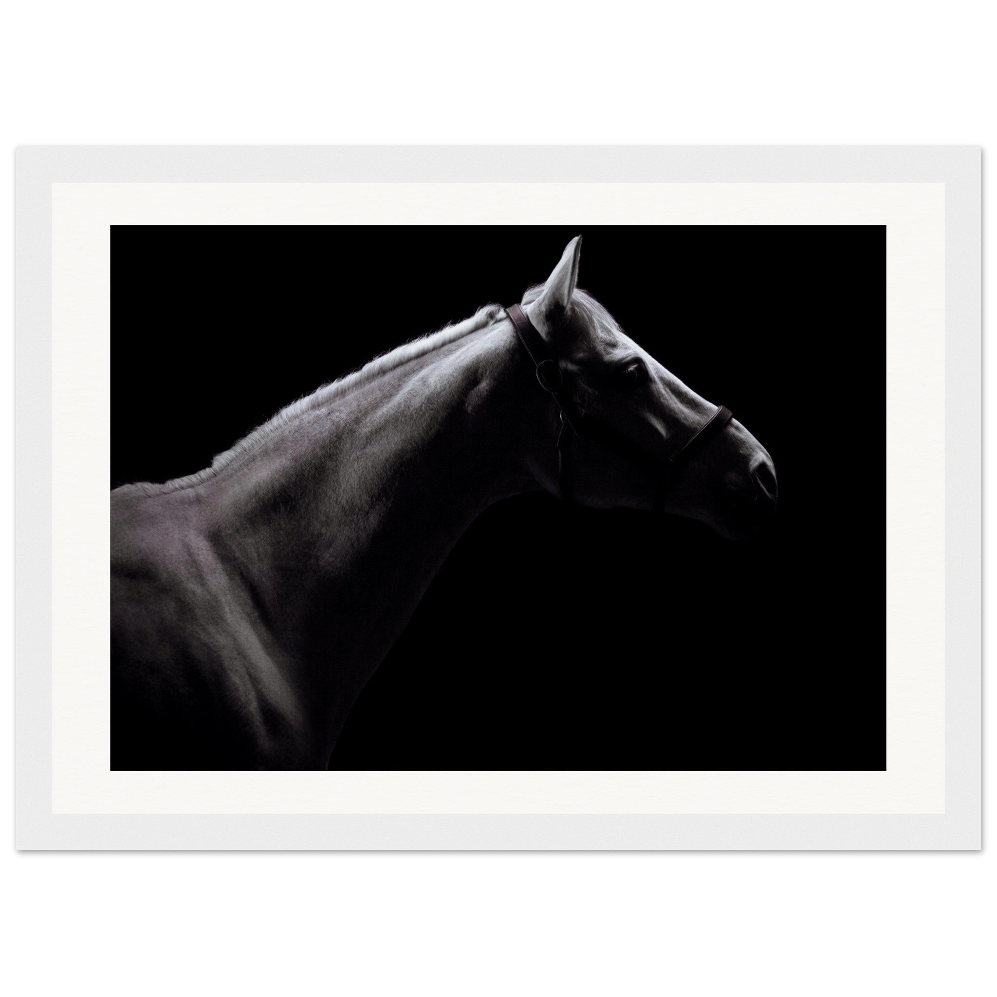 1f541165-d4ec-4c3b-bba1-b6e88f781226