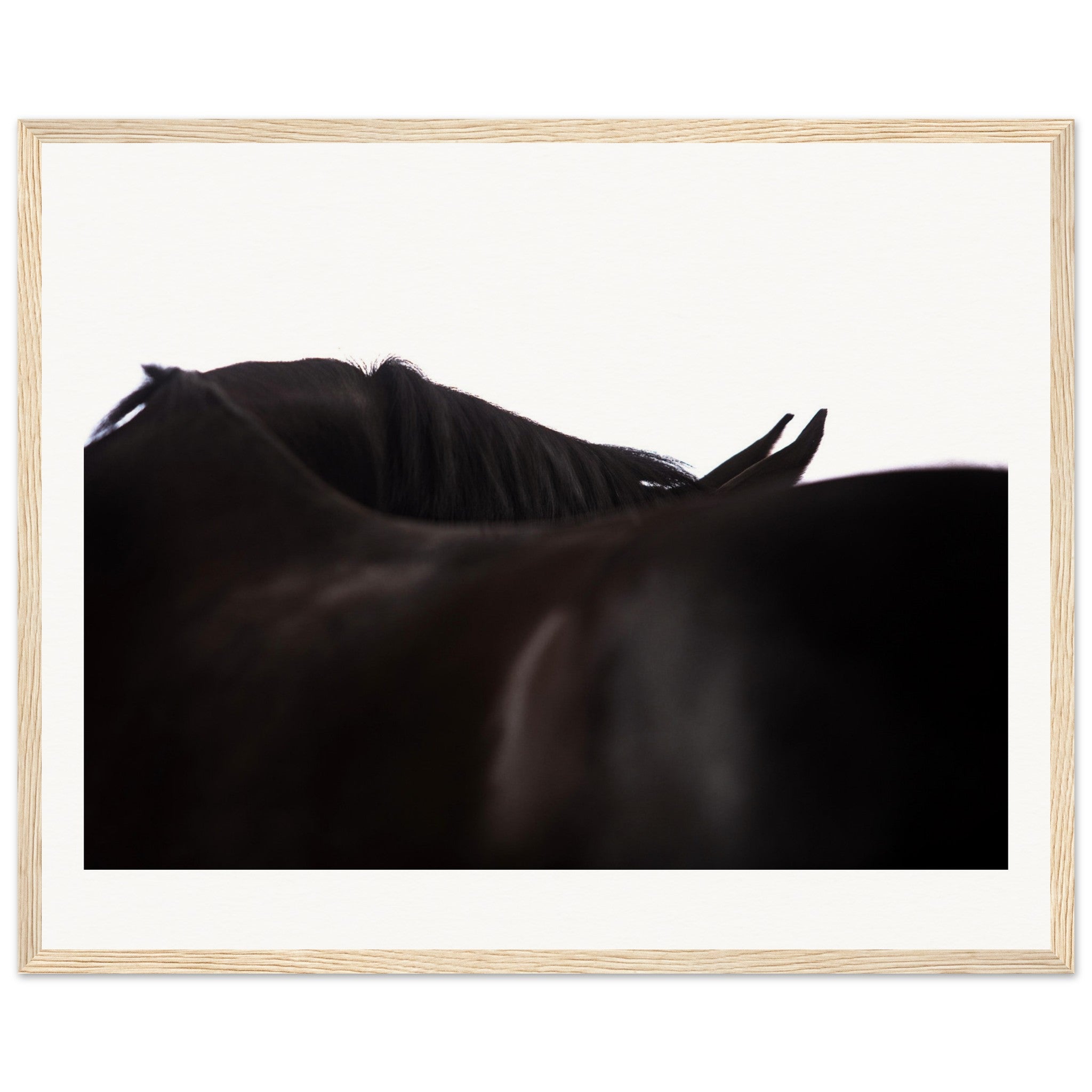 1f651720-db16-4915-a8cc-adbd2d6a2c64