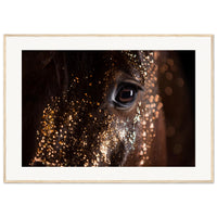 1f7e1d12-7f18-4374-b3f7-511508de4d32