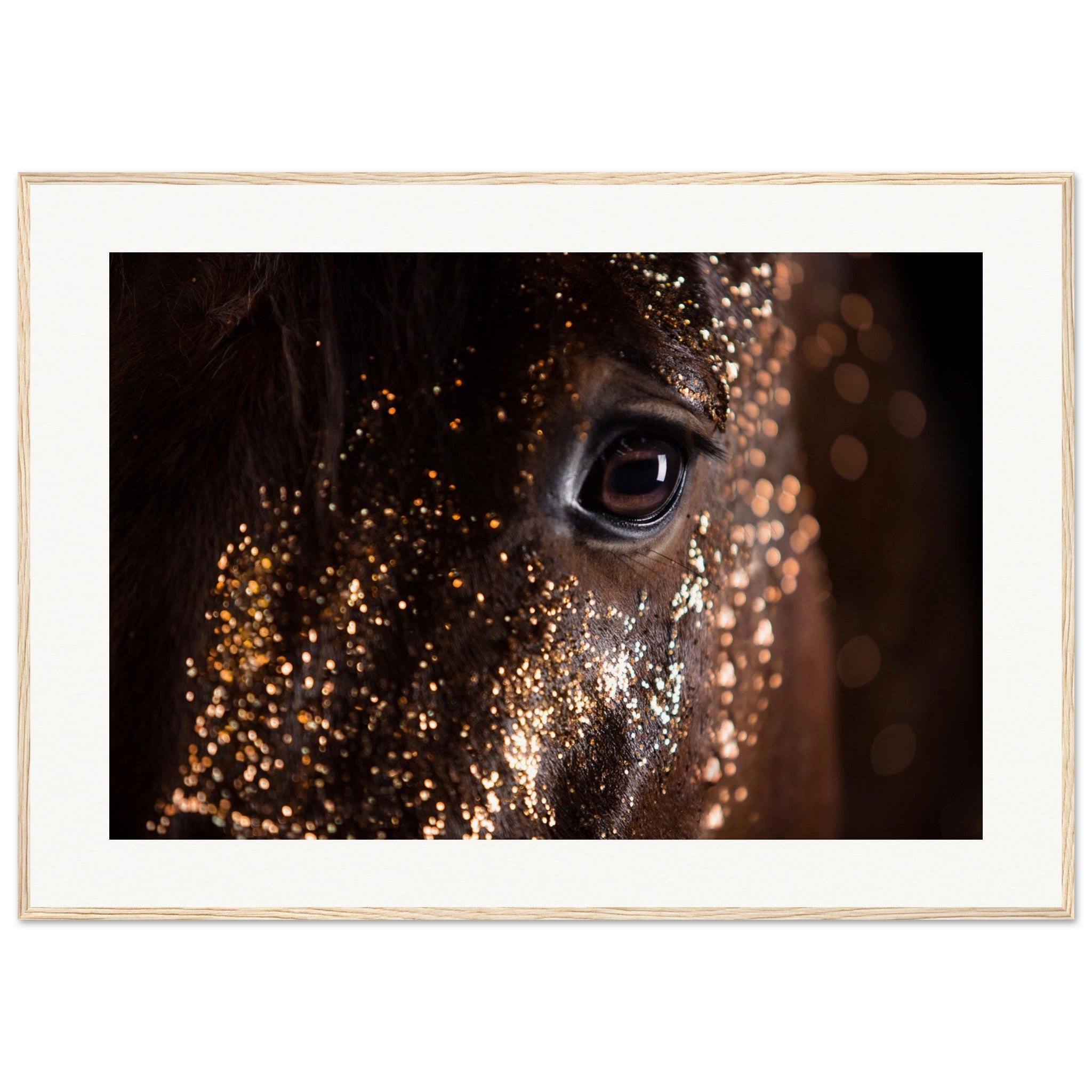 1f7e1d12-7f18-4374-b3f7-511508de4d32