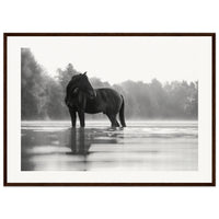 1fd99053-5d89-4cca-86f2-5cce625f0bac