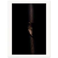 Diana Wahl Collection - Light I