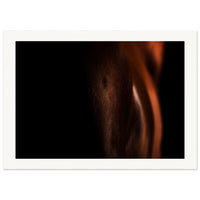 2016ac95-3984-44fe-bac6-5aebe98ca1c0