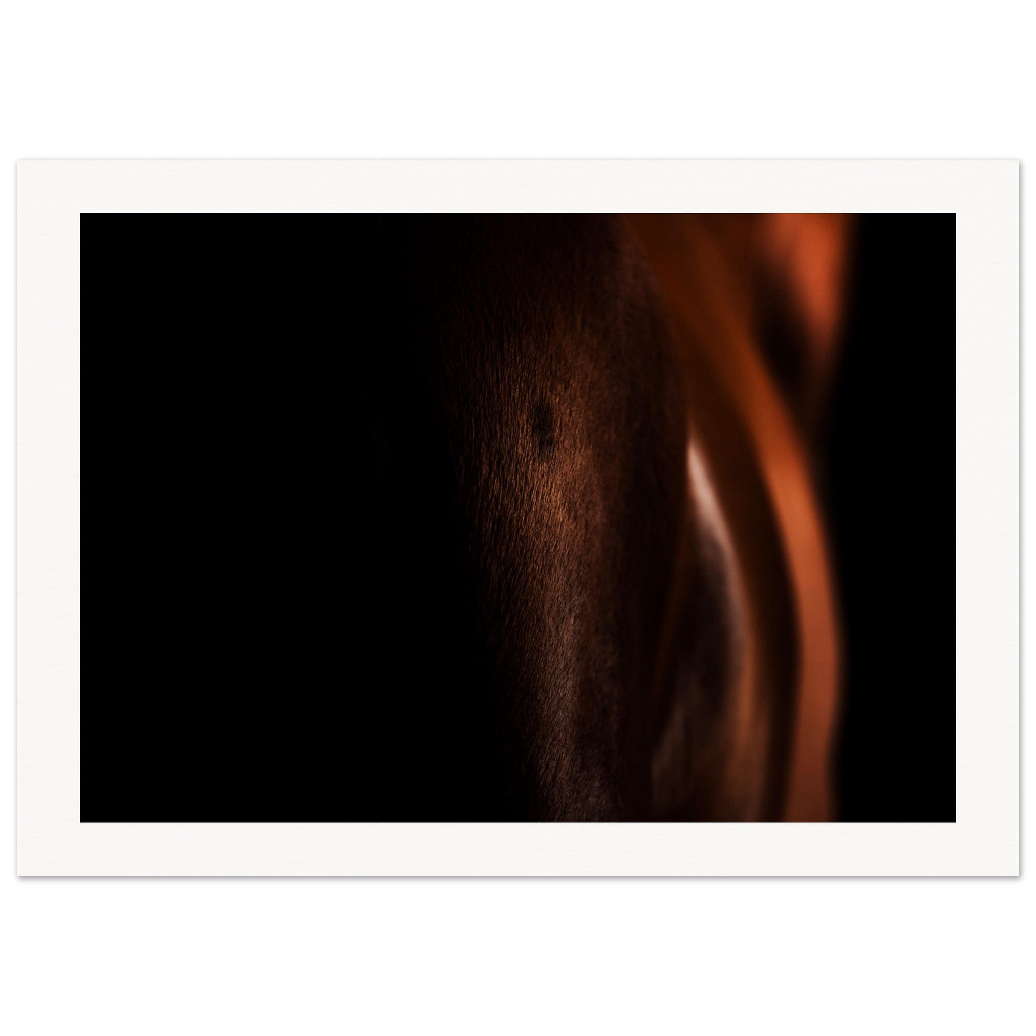 2016ac95-3984-44fe-bac6-5aebe98ca1c0