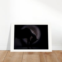 2030dc90-423b-48ab-9927-bf9e8463fb1e