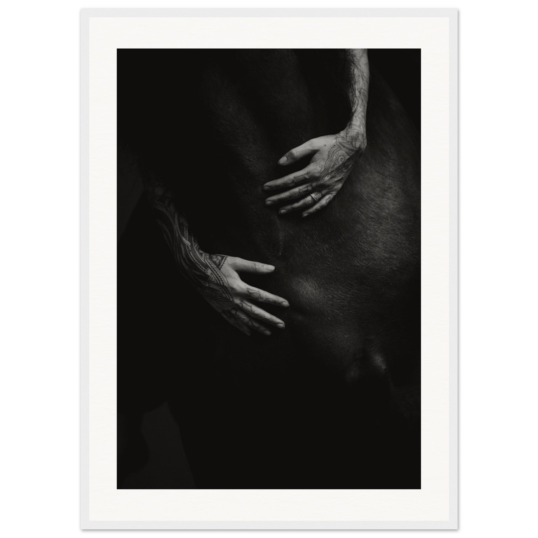 20775041-8068-4730-a019-dcd63d229f28