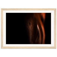 207bd73d-6465-43a8-b2cc-07fd73e00a14