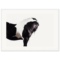 20a2923e-18af-47bb-9c93-f133581127ea