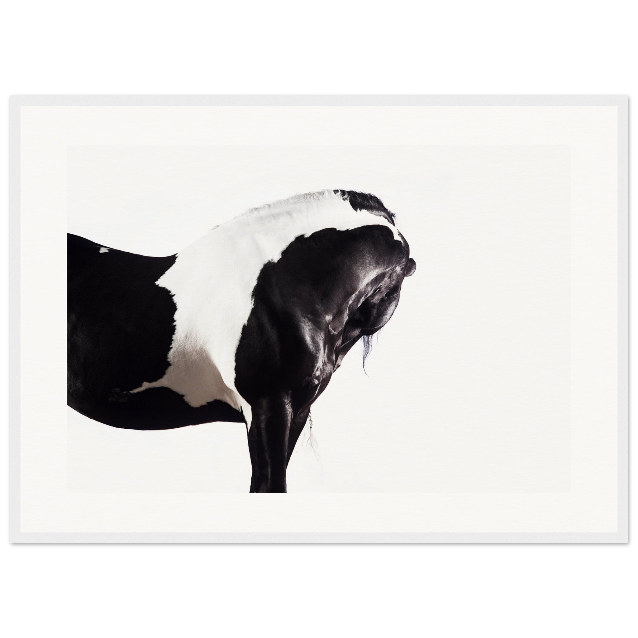 20a2923e-18af-47bb-9c93-f133581127ea