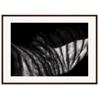 20a83a69-dc11-4f5a-806b-f38351a21971