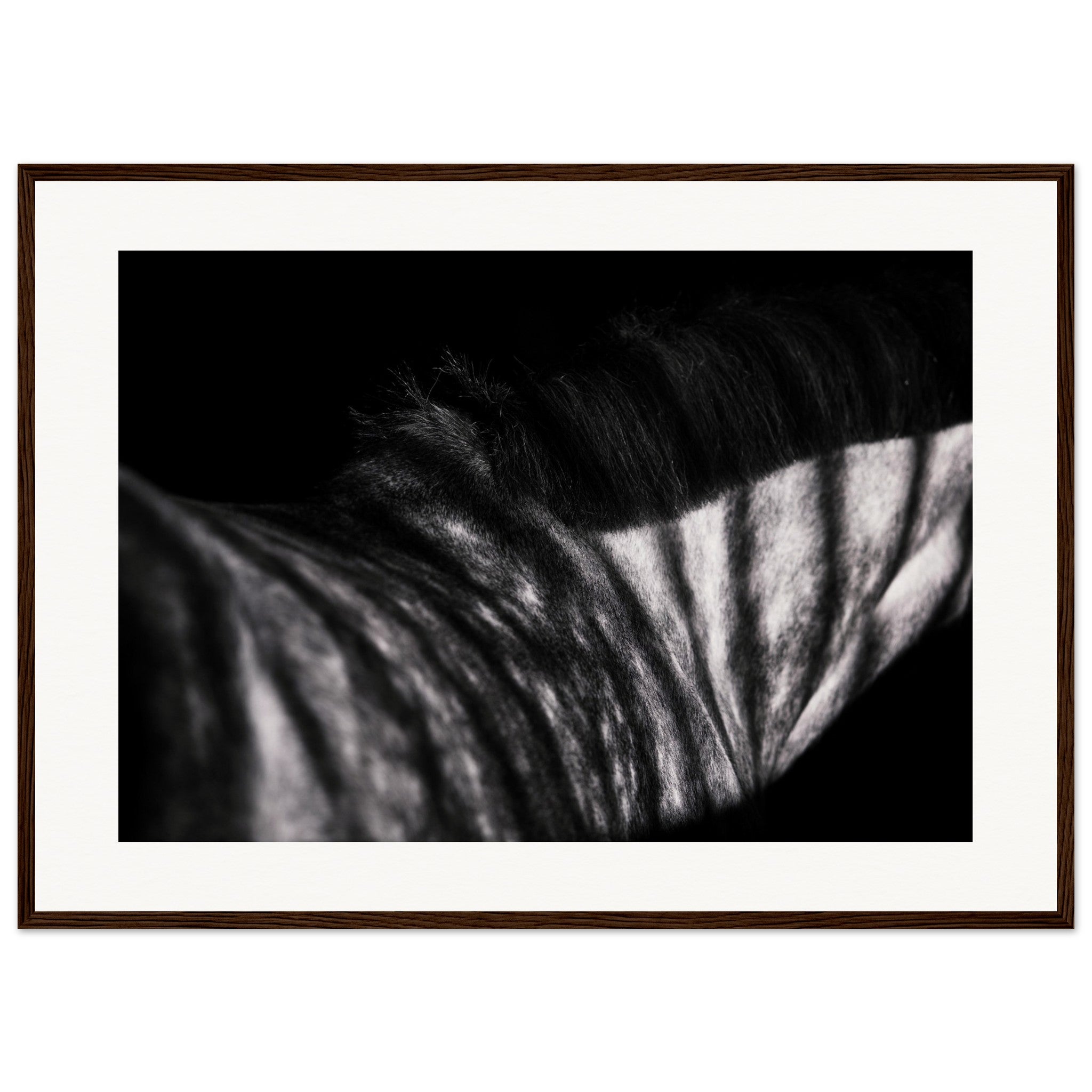 20a83a69-dc11-4f5a-806b-f38351a21971