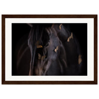 20ab9baf-ba71-4a9a-95b7-4ba03936d8c5