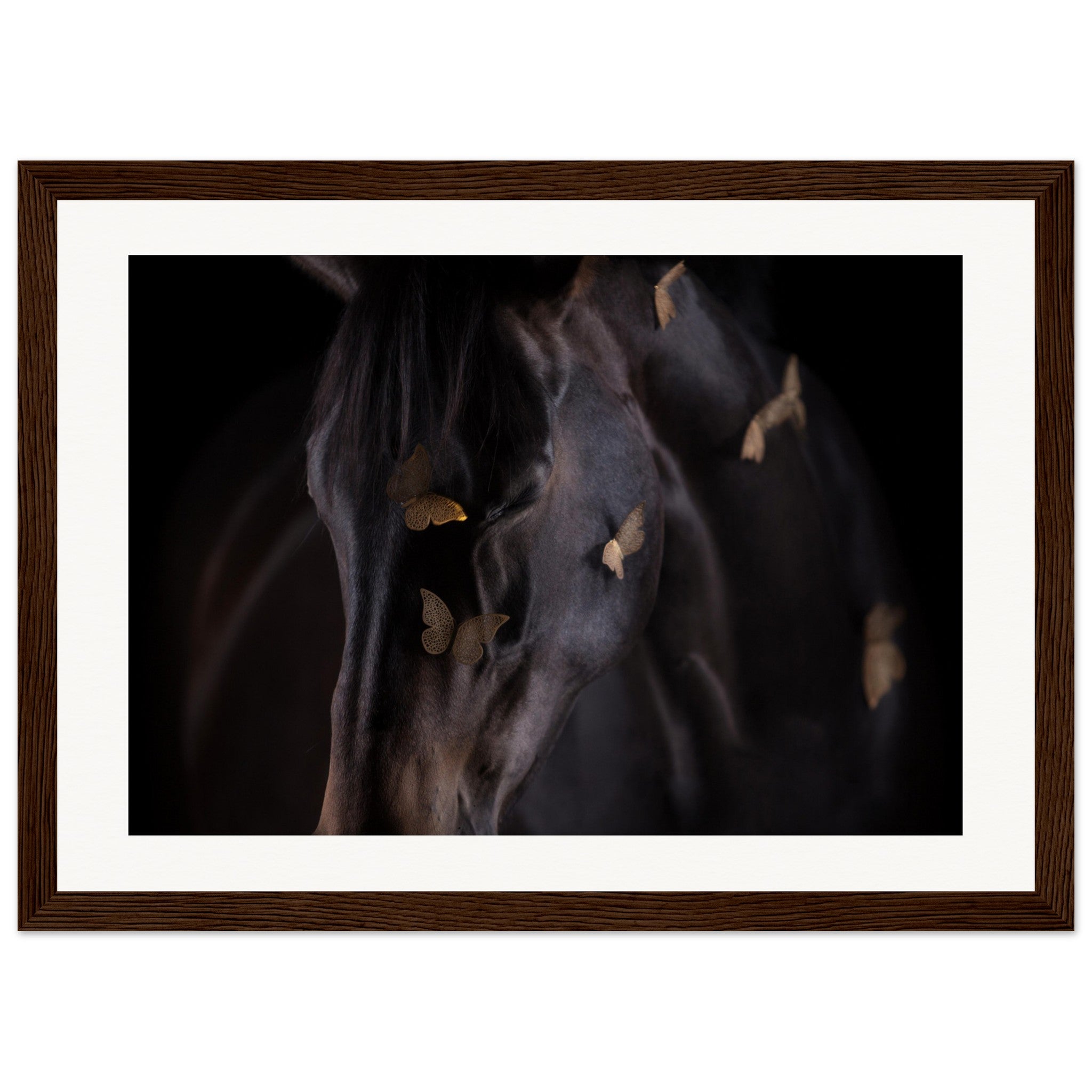 20ab9baf-ba71-4a9a-95b7-4ba03936d8c5