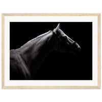 20d1b4a5-82d1-45c1-b68a-1fb3679267c8