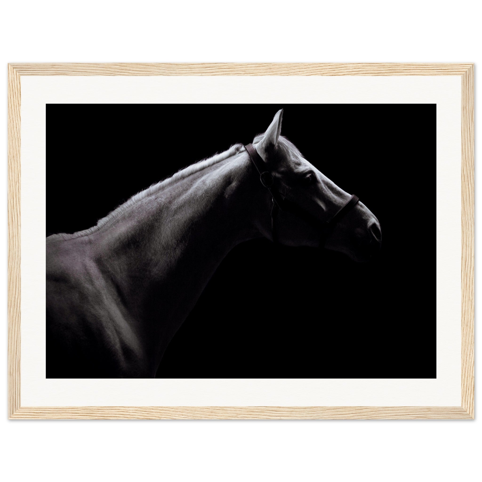 20d1b4a5-82d1-45c1-b68a-1fb3679267c8