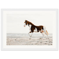 2129ea6d-9911-4107-b381-83e43de4944f