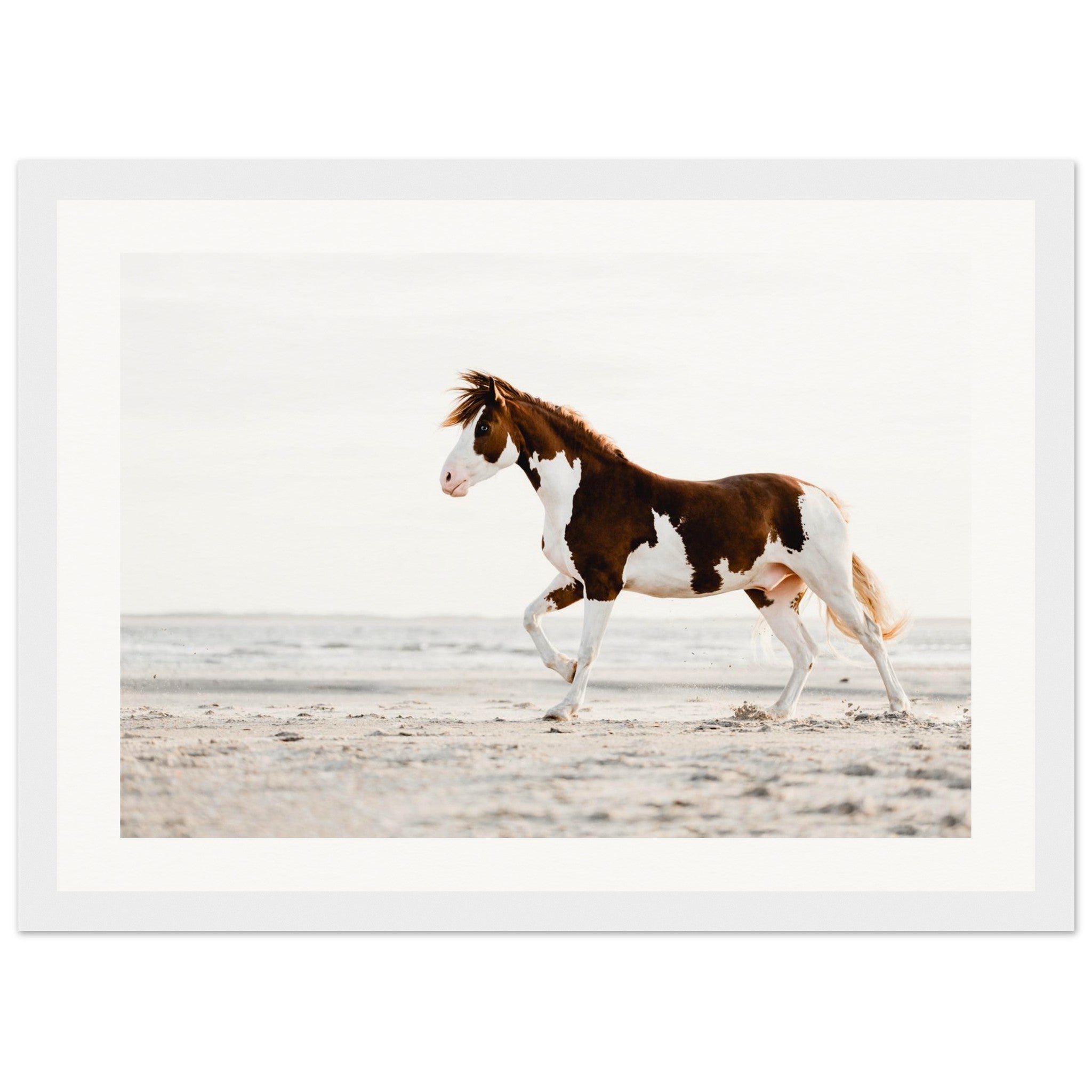 2129ea6d-9911-4107-b381-83e43de4944f