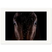 213c9e45-3a6d-4123-bfe2-9028b7133867