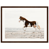 2141402b-7480-4178-850e-9efb0f831490