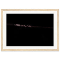 217448ca-0144-40b2-960d-e323cb706e21