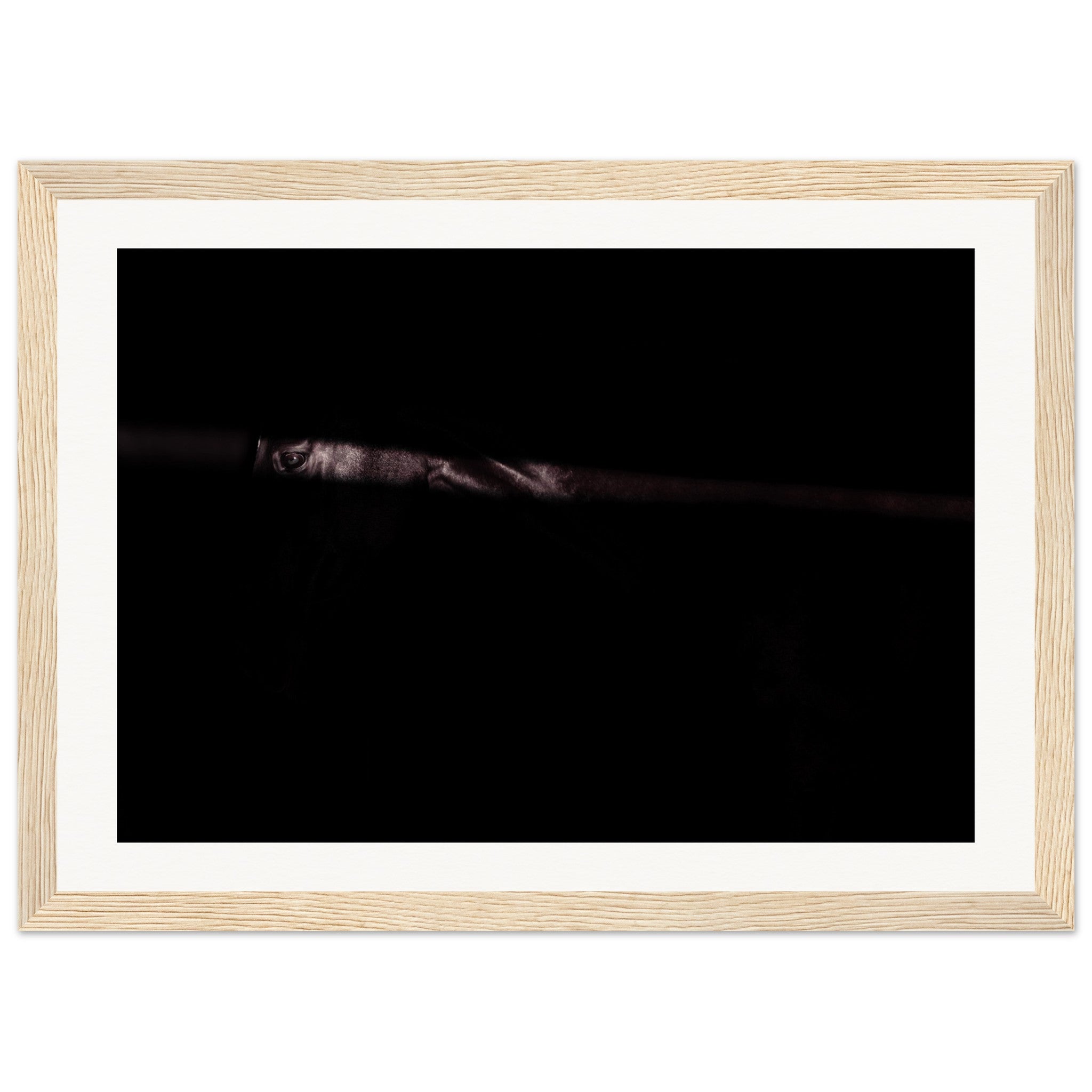 217448ca-0144-40b2-960d-e323cb706e21