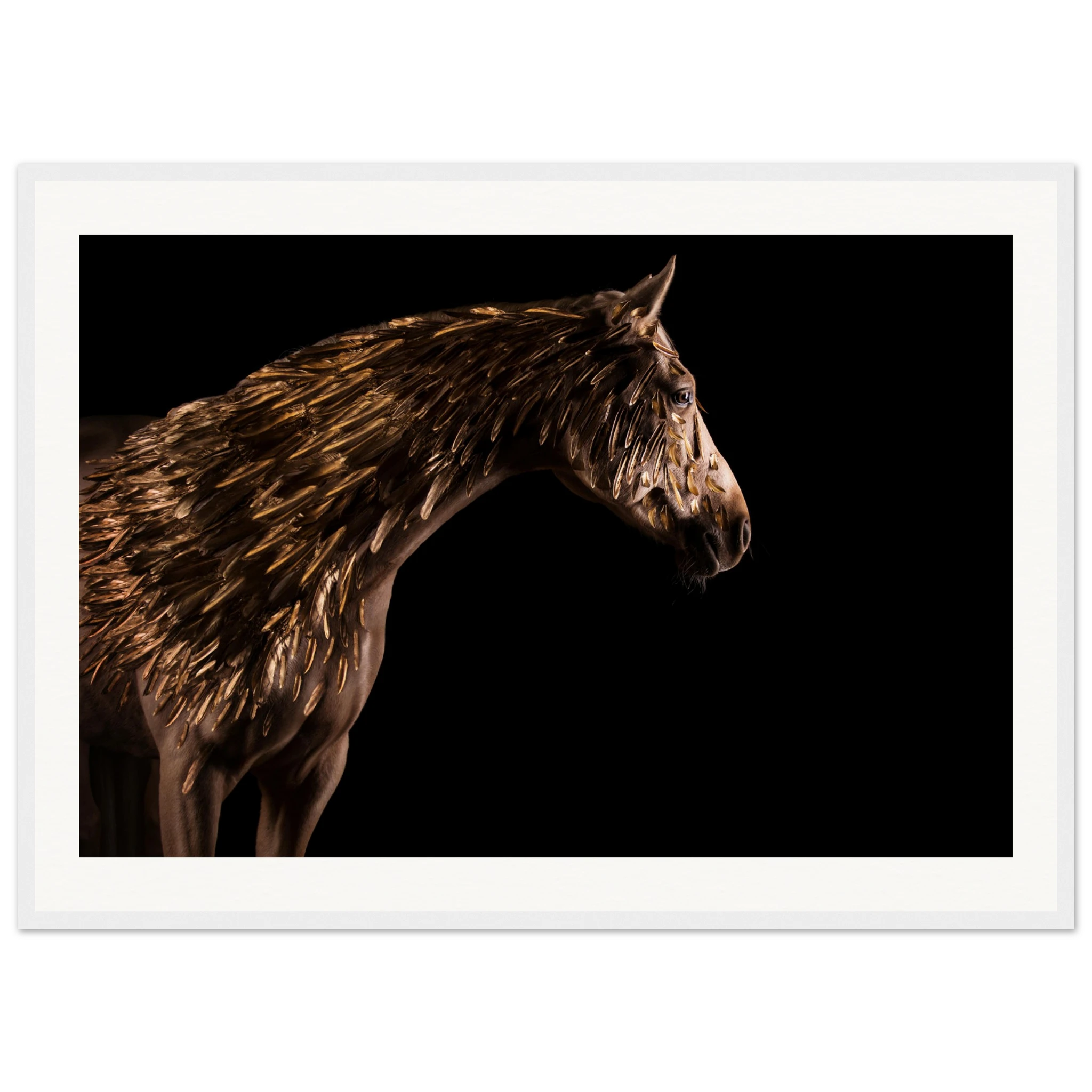 2195a786-8177-4223-bdd5-0939e080f3ca