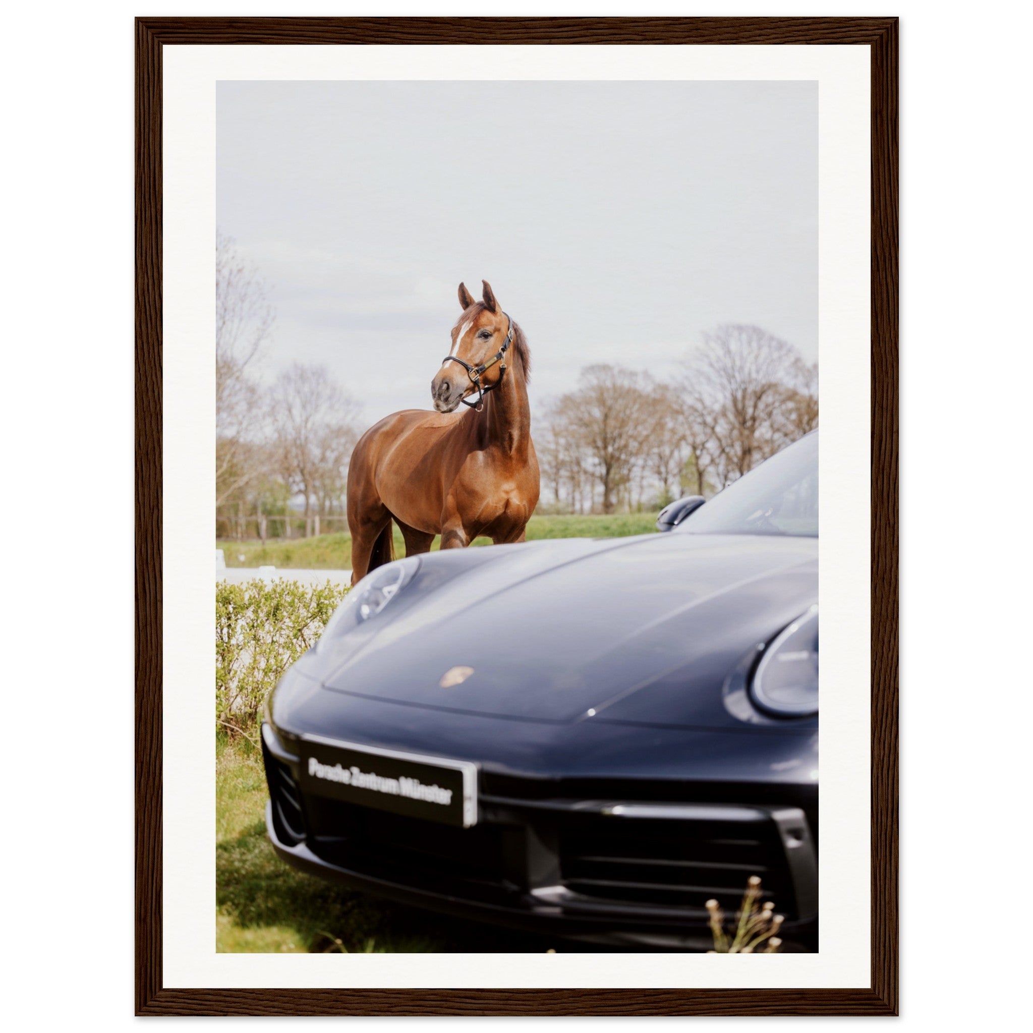 21e83146-9961-4300-8f5d-853754ed47f5