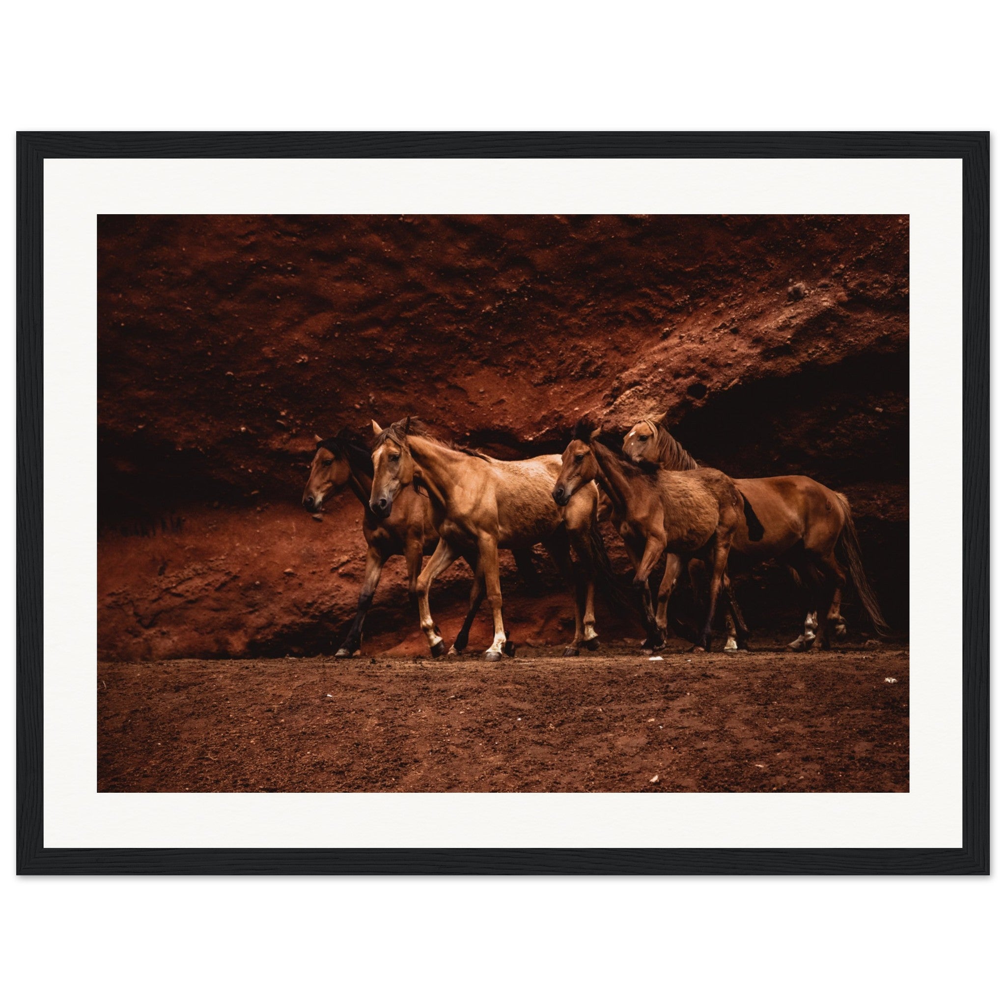 223b121a-d9f5-44a0-acd2-894f5e029526