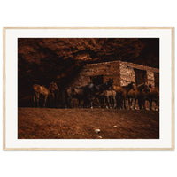 225b9578-433e-4ed3-b42c-12b96ab9ab10