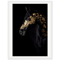 228d9233-65fb-480b-bea3-820fe85db524