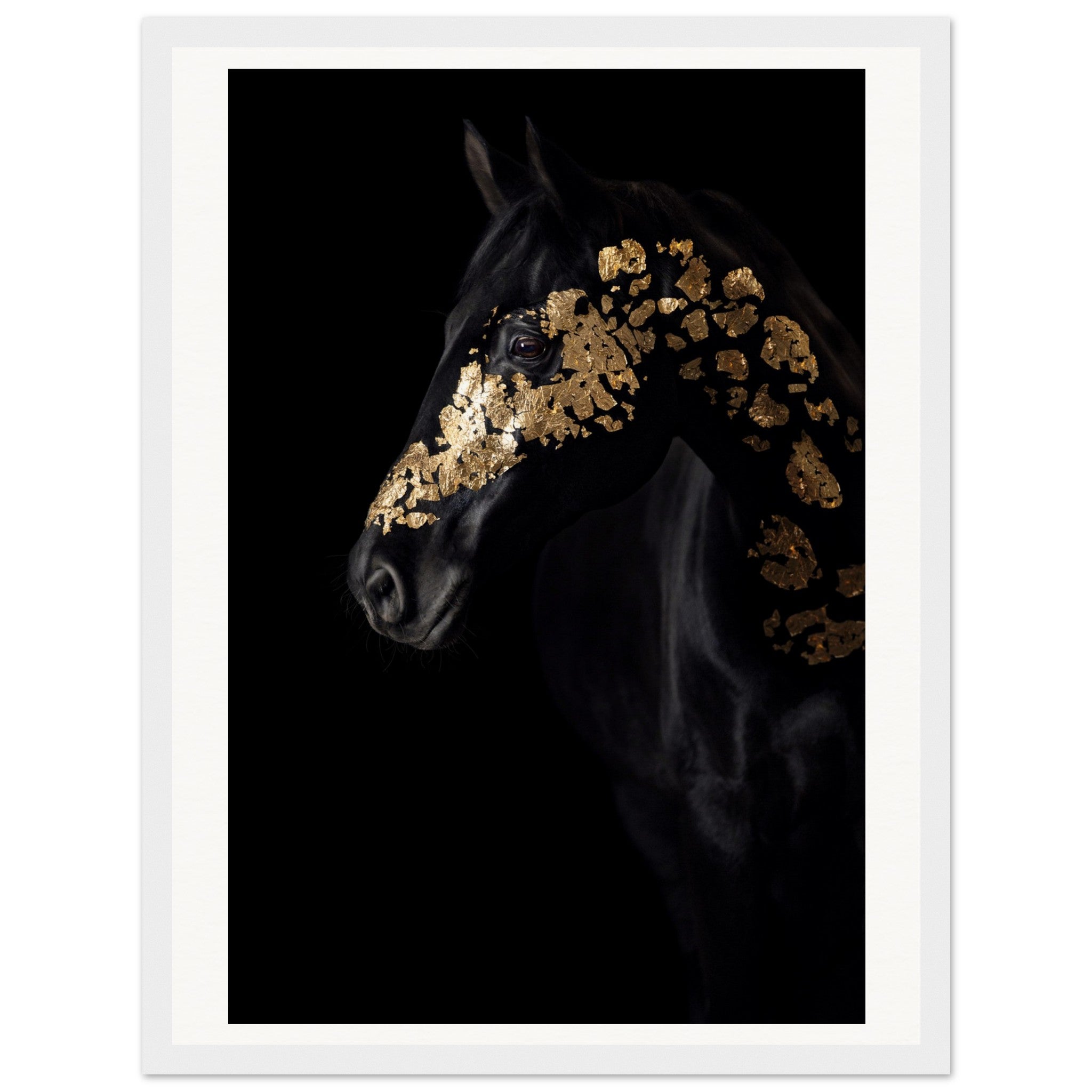 228d9233-65fb-480b-bea3-820fe85db524