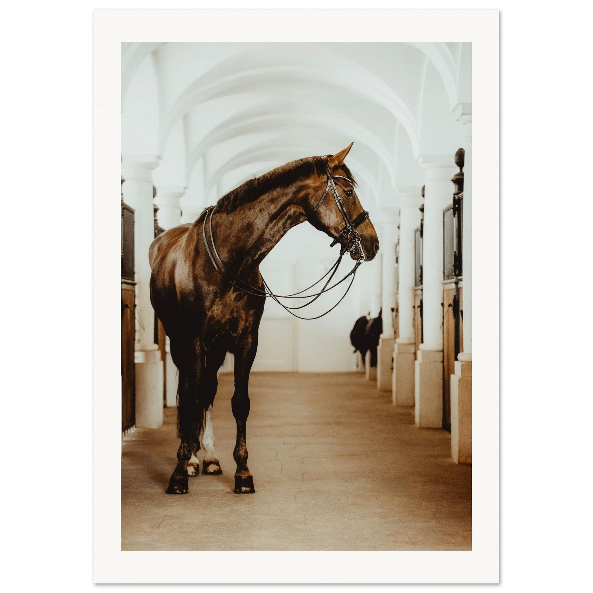 22deed52-8119-423e-9068-9224dc85c7f3