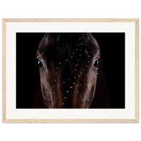 22eff954-212b-402a-a4ff-a46211c66ec7