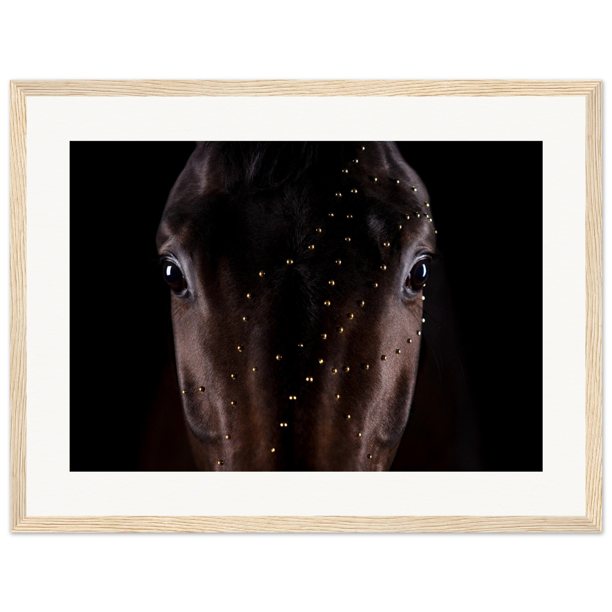 22eff954-212b-402a-a4ff-a46211c66ec7