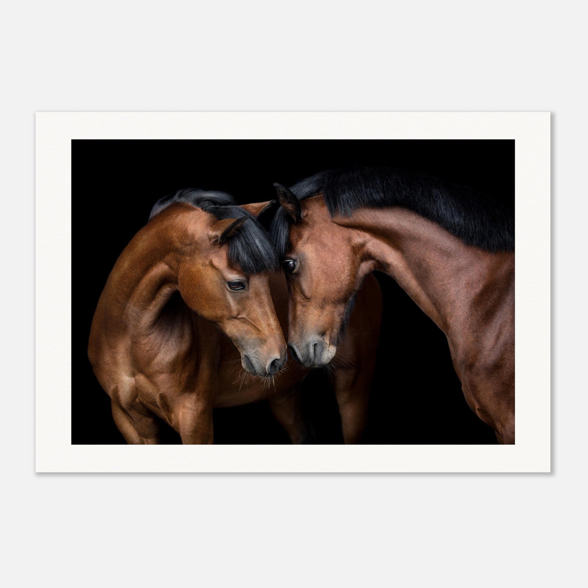 23253e45-3772-4cf6-a61e-f1274024b5a3