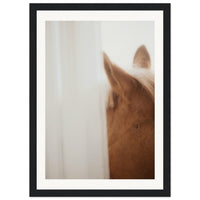 234351b0-23d5-436b-b339-a5cb73198402