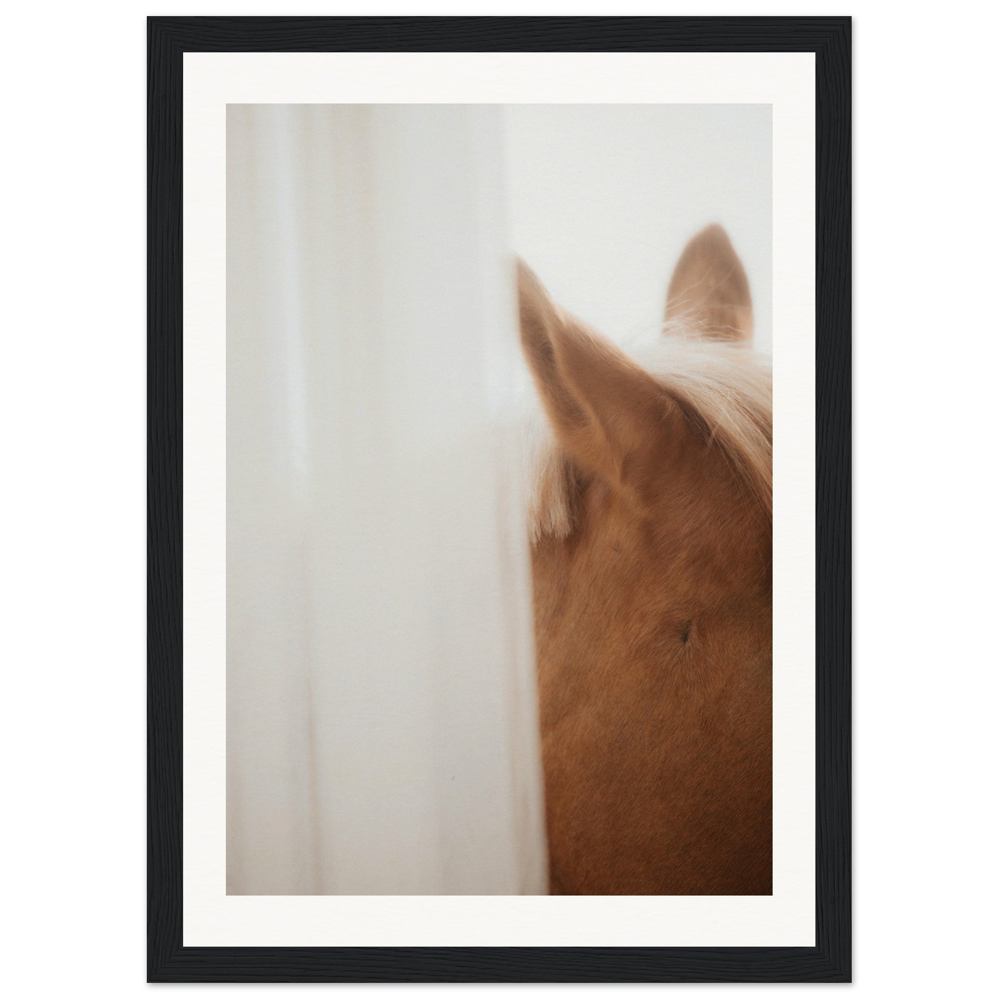 234351b0-23d5-436b-b339-a5cb73198402