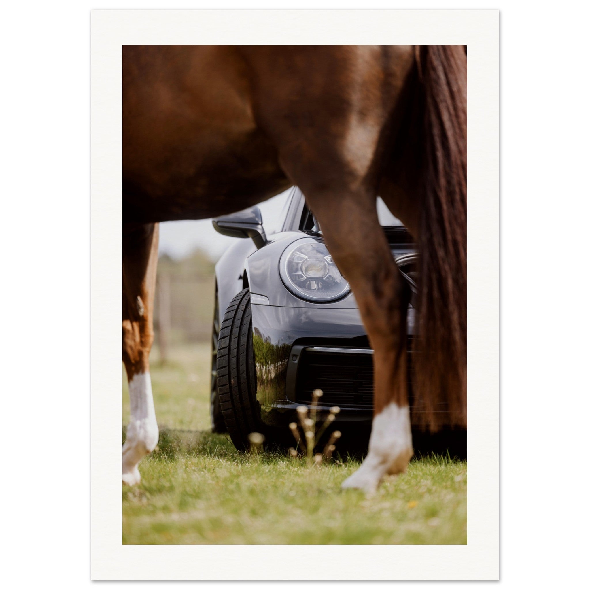 23488272-d5d4-4913-b975-3669fa715691