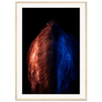 23c3cb58-3fd5-4482-a40f-3dc702ad2fee