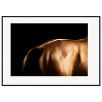 23fd94d1-bae2-48b8-8b7f-83303f822b96