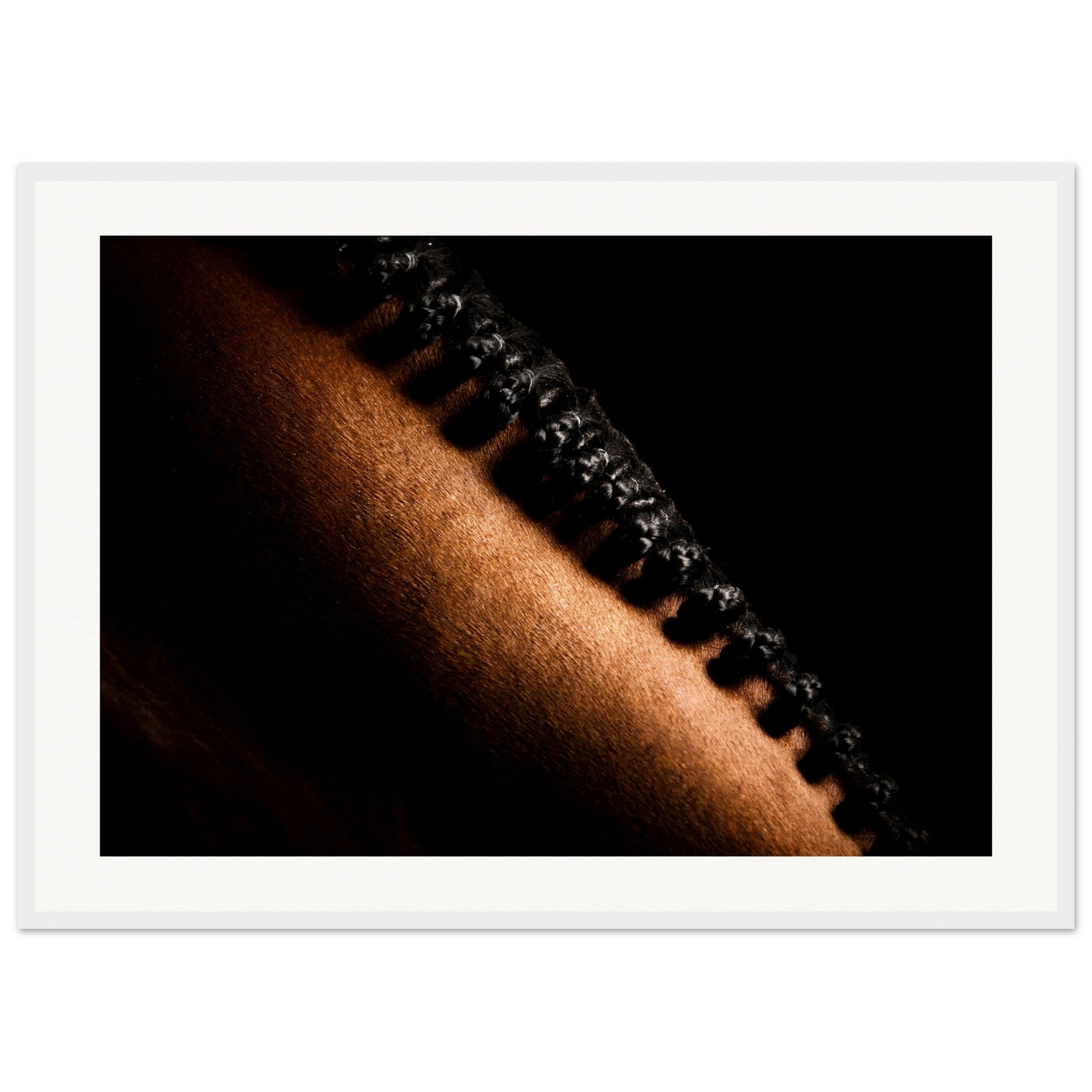 2418fd11-dd33-41a4-bdf3-945678e7f2df