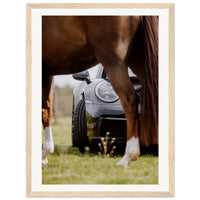 241cd220-5376-4b2e-b1b9-2fb8da6e10aa