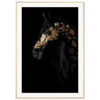 244ccaa3-f57d-470c-a524-8551ab5b9fa5