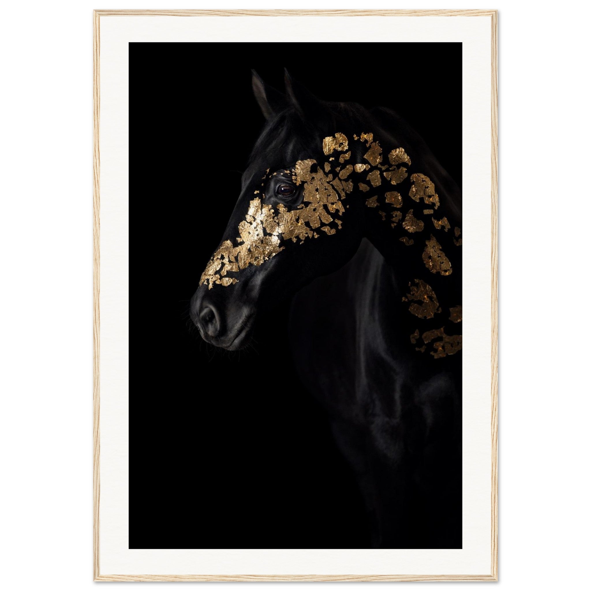 244ccaa3-f57d-470c-a524-8551ab5b9fa5