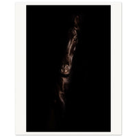 2463f3ed-7c1e-4dce-84d3-afdd880513a4