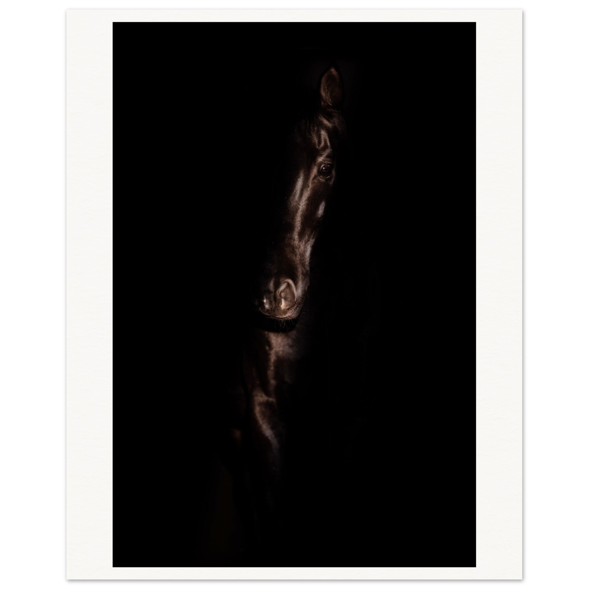 2463f3ed-7c1e-4dce-84d3-afdd880513a4