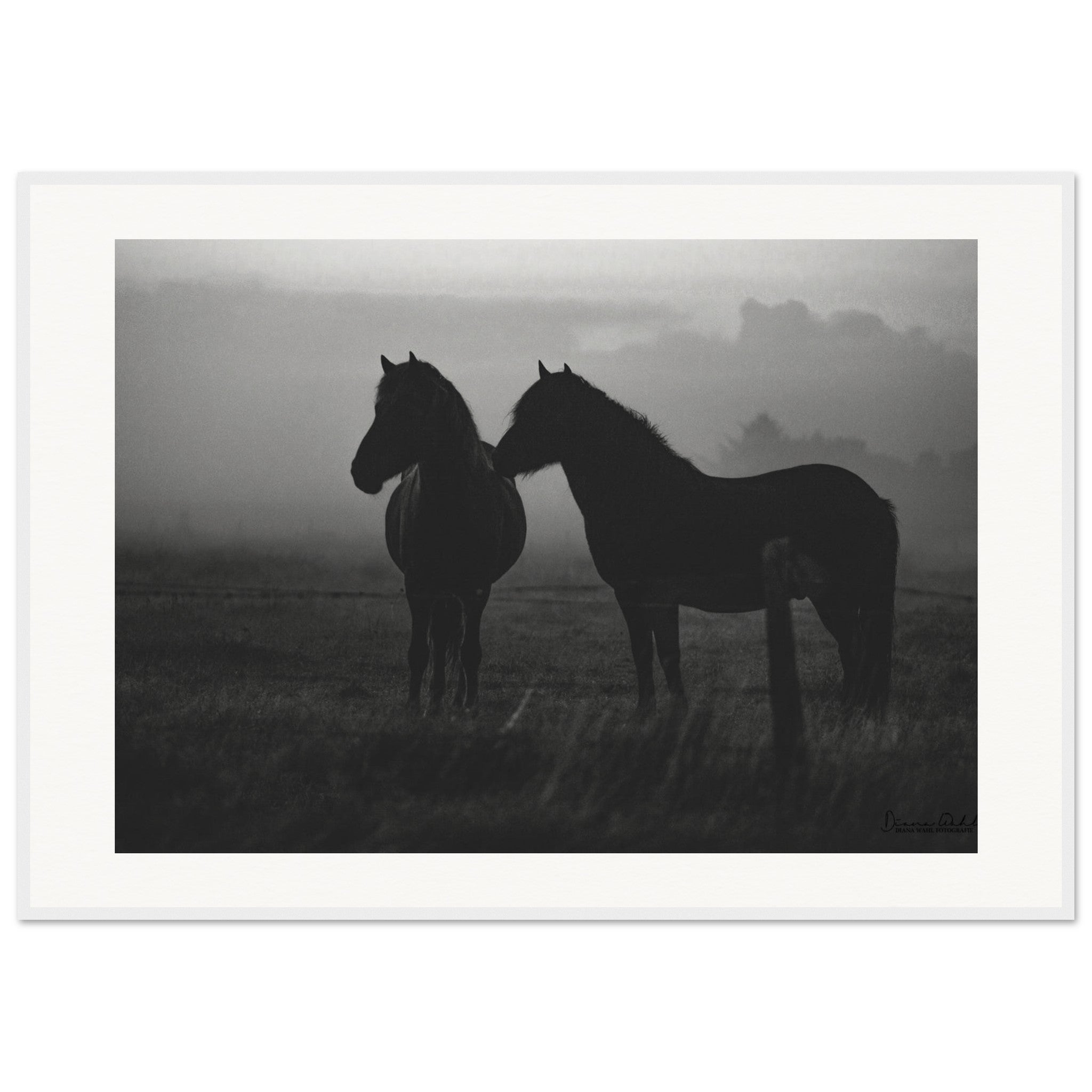 2464b451-e798-42d0-9d18-e7aed4ed7129