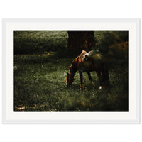 246d5b0c-d331-49f2-b7e9-06bd54abdd12